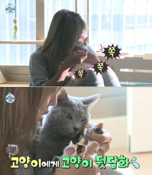 韩国女团SISTAR孝琳视猫如命 被嘲笑地位比猫低