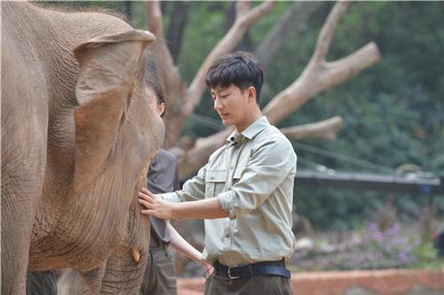 《奇妙的朋友》黄轩被大象踢倒 患上“恐惧症”